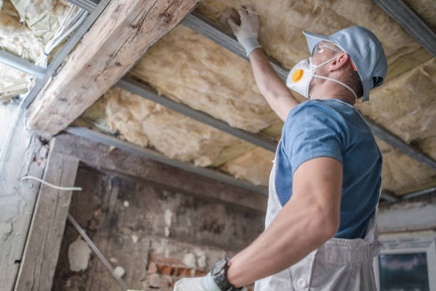 Best Cellulose Insulation in Pato, WA