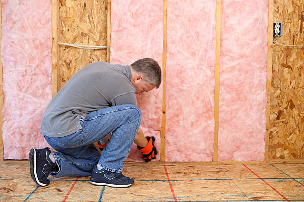 Best Geographic-Specific Insulation Services in Pato, WA