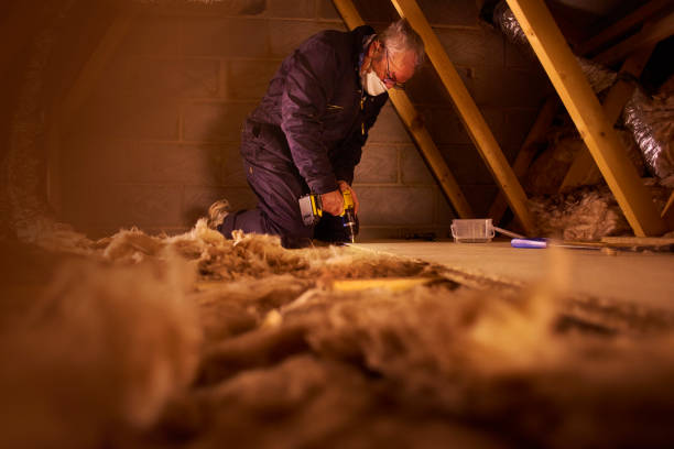Best Energy Efficiency Insulation in Pato, WA